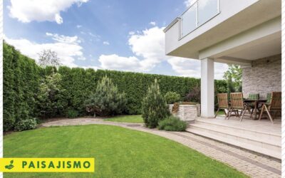 What to do before designing a garden